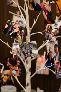 ALK03120093.jpg
