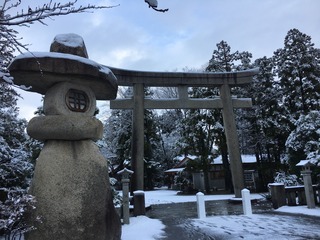 image1.jpeg